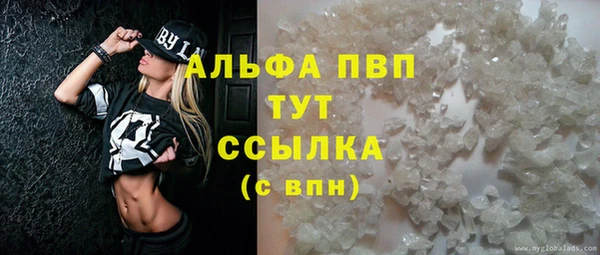 дживик Арсеньев