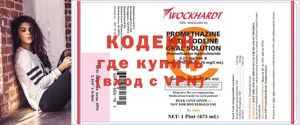 дживик Арсеньев