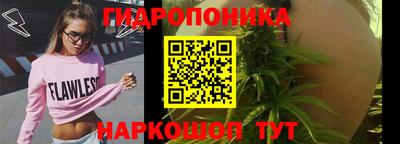 сатива Шелехов