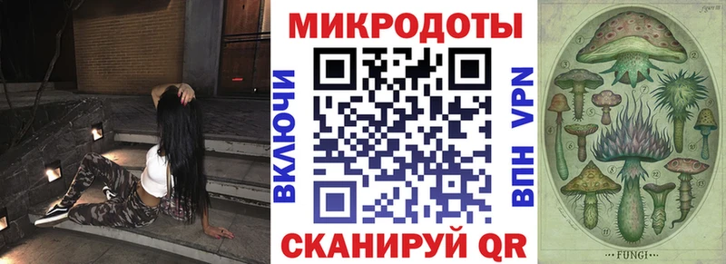 дарнет шоп Курганинск blacksprut как зайти Галлюциногенные грибы прущие грибы